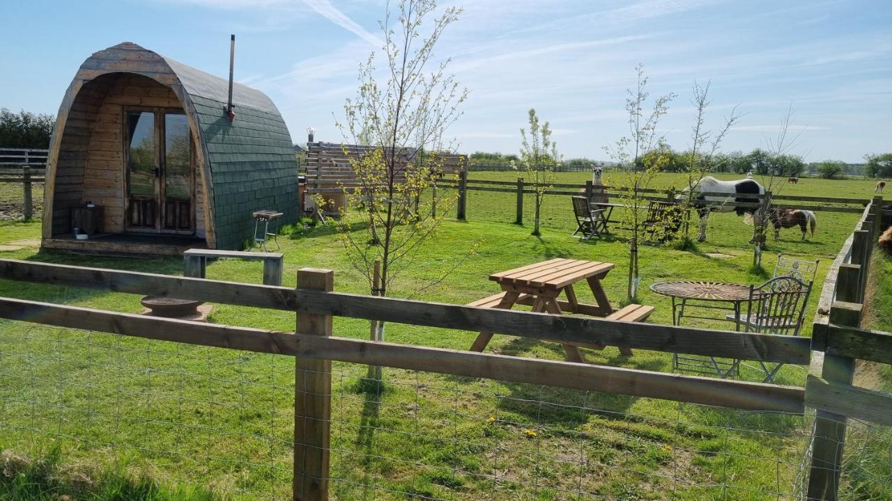 יורק Skipbridge Farm Glamping מראה חיצוני תמונה