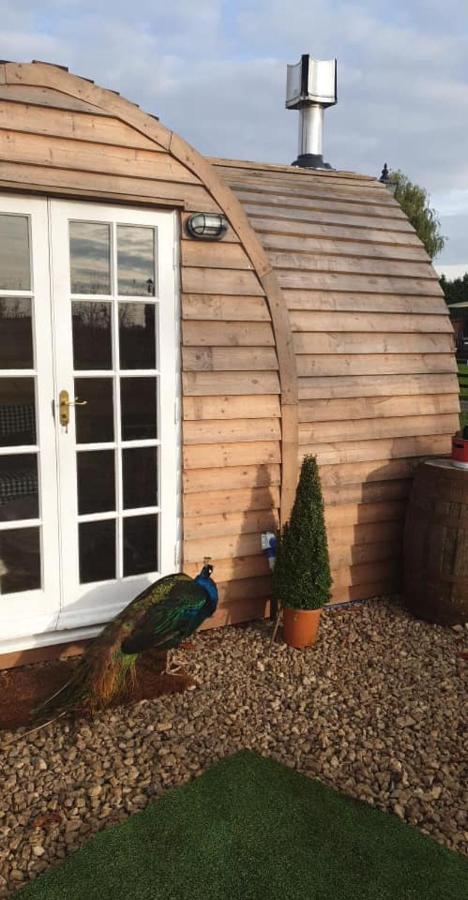 יורק Skipbridge Farm Glamping מראה חיצוני תמונה