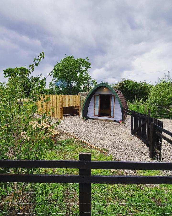 יורק Skipbridge Farm Glamping מראה חיצוני תמונה